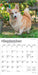 Welsh Corgis 2026 Mini Wall Calendar