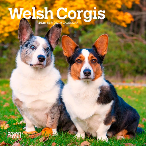 Welsh Corgis 2026 Mini Wall Calendar