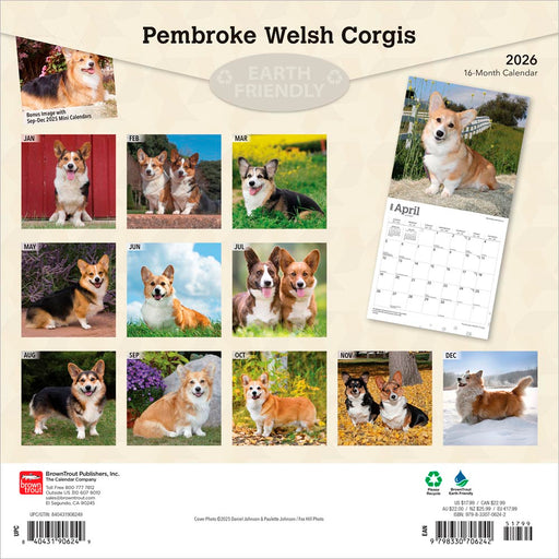 Pembroke Welsh Corgis 2026 Square Wall Calendar