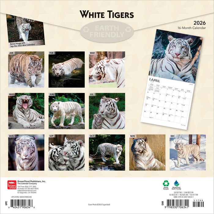 White Tigers 2026 Square Wall Calendar (Online Exclusive)