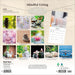 Mindful Living 2026 Square Wall Calendar