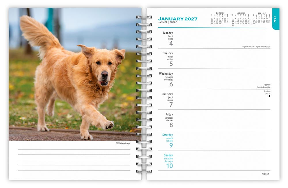 Golden Retrievers 2027 Weekly Diary
