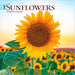 Sunflowers 2027 Mini Wall Calendar