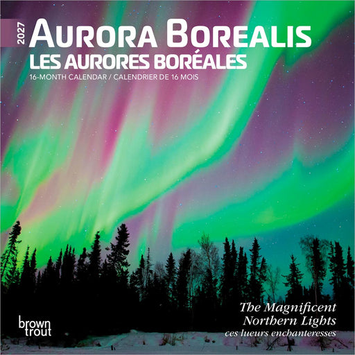 Aurora Borealis Les Astronomy 2027 Mini Wall Calendar