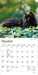 Black Cats 2027 Mini Wall Calendar