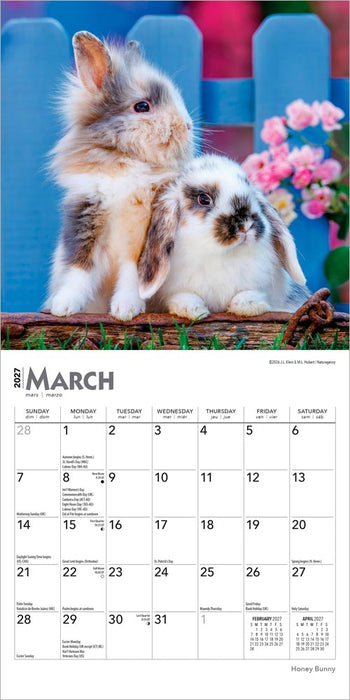 Honey Bunny 2027 Mini Wall Calendar