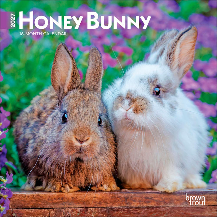 Honey Bunny 2027 Mini Wall Calendar