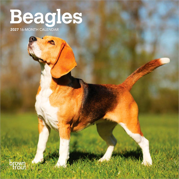 Beagles 2027 Mini Wall Calendar