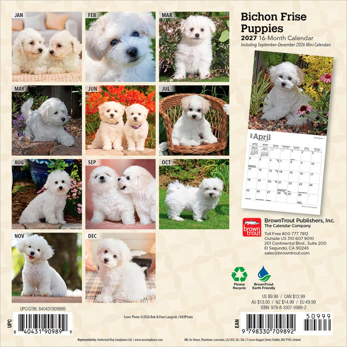 Bichon Frise Puppies 2027 Mini Wall Calendar