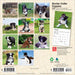 Border Collie Puppies 2027 Mini Wall Calendar