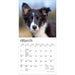 Border Collie Puppies 2027 Mini Wall Calendar