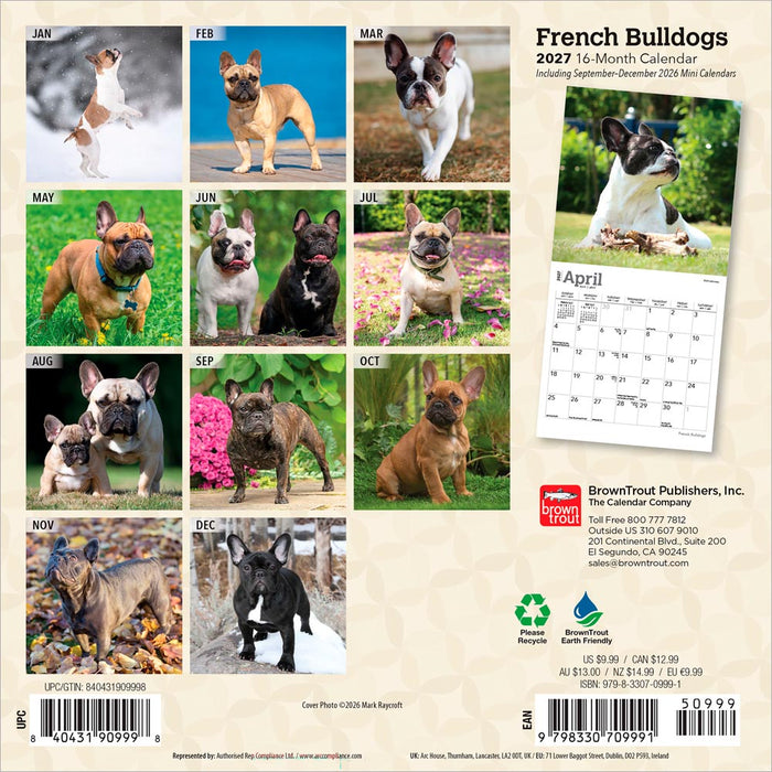 French Bulldogs 2027 Mini Wall Calendar