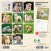 Golden Retriever Puppies 2027 Mini Wall Calendar