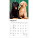 Lab Puppies 2027 Mini Wall Calendar