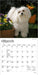 Maltese 2027 Mini Wall Calendar