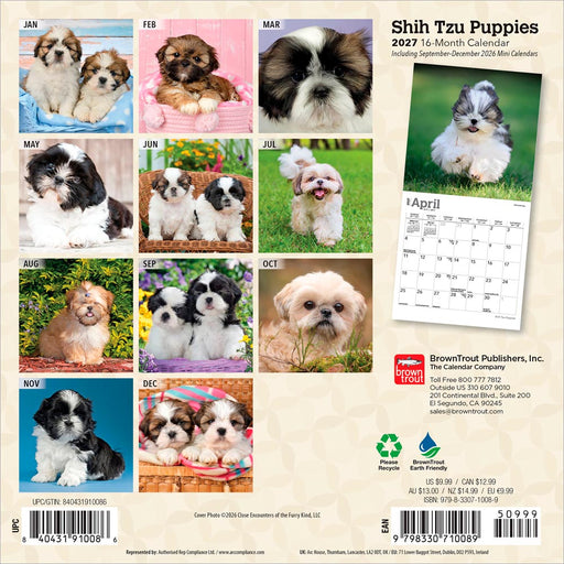 Shih Tzu Puppies 2027 Mini Wall Calendar
