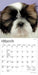 Shih Tzu Puppies 2027 Mini Wall Calendar