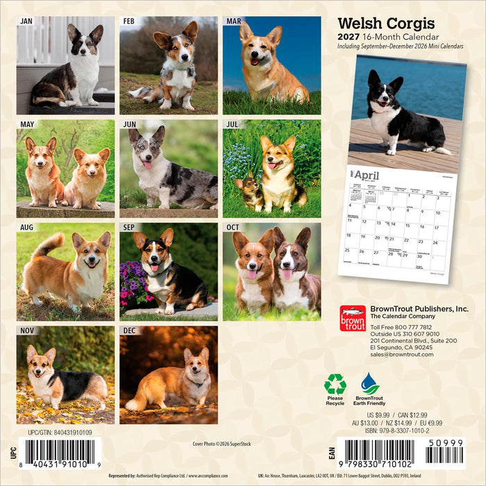 Welsh Corgis 2027 Mini Wall Calendar