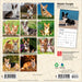 Welsh Corgis 2027 Mini Wall Calendar