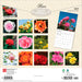 Roses 2027 Square Wall Calendar