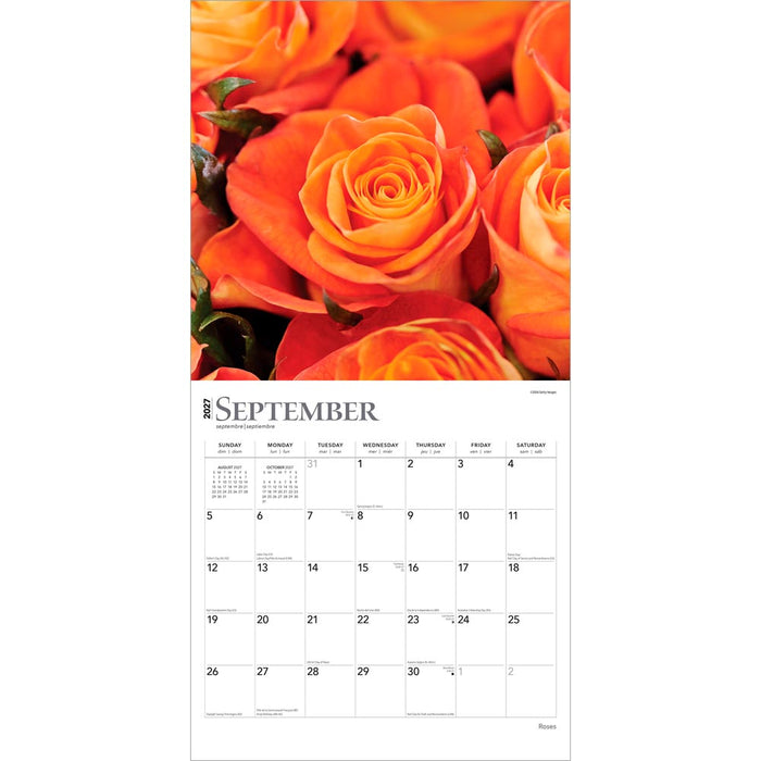 Roses 2027 Square Wall Calendar