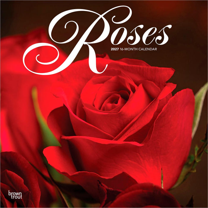 Roses 2027 Square Wall Calendar