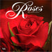 Roses 2027 Square Wall Calendar