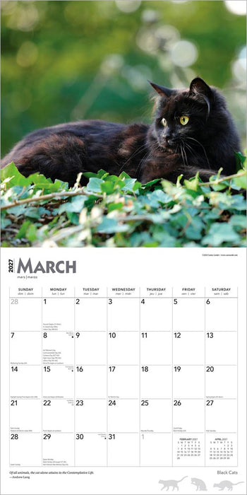 Black Cats 2027 Square Wall Calendar
