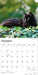 Black Cats 2027 Square Wall Calendar