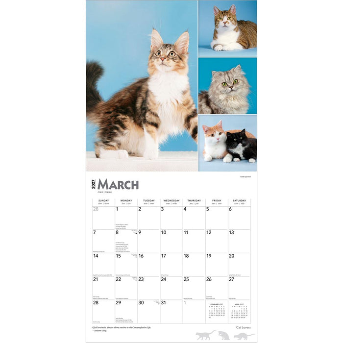Cat Lovers 2027 Square Wall Calendar