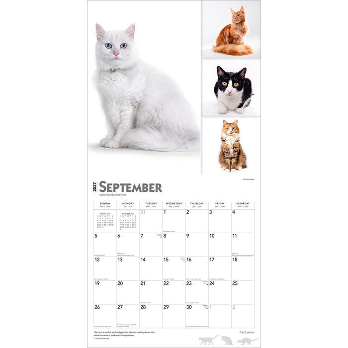 Cat Lovers 2027 Square Wall Calendar
