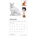 Cat Lovers 2027 Square Wall Calendar