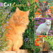 Cat Lovers 2027 Square Wall Calendar