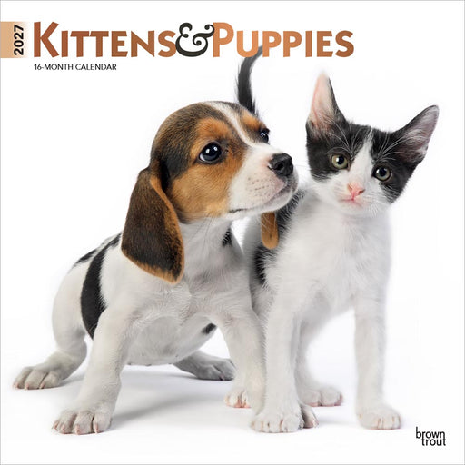 Kittens and Puppies 2027 Square Wall Calendar