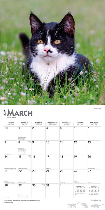 Tuxedo Cats 2027 Square Wall Calendar