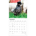 Chickens 2027 Square Wall Calendar