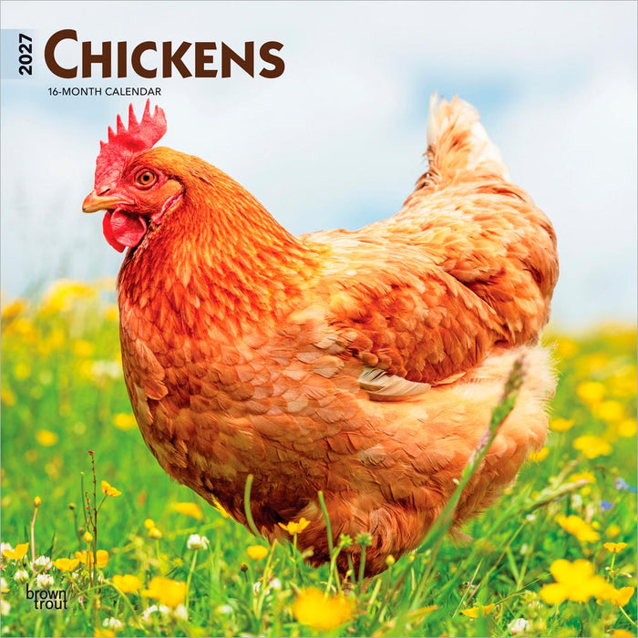 Chickens 2027 Square Wall Calendar
