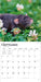 Rats 2027 Square Wall Calendar