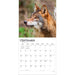 Wolves 2027 Square Wall Calendar