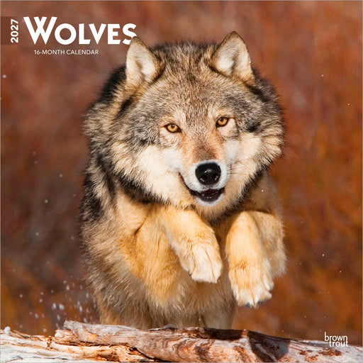 Wolves 2027 Square Wall Calendar