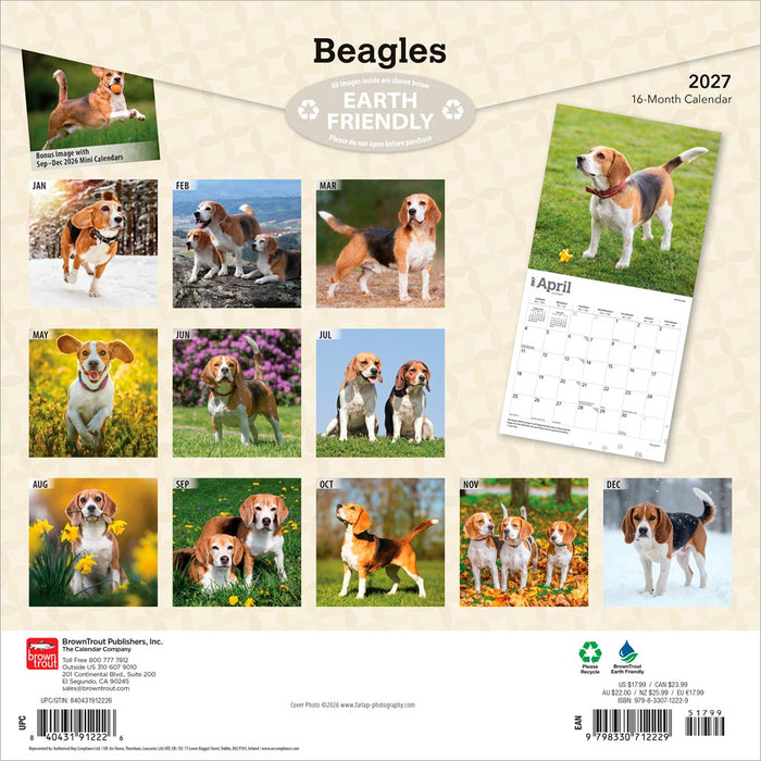 Beagles 2027 Square Wall Calendar