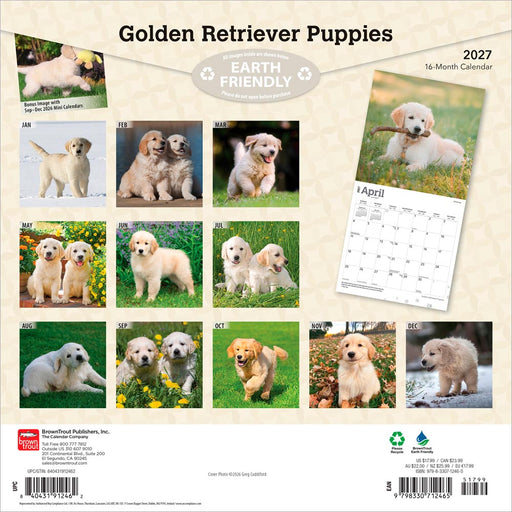 Golden Retriever Puppies 2027 Square Wall Calendar