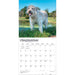 Goldendoodles 2027 Square Wall Calendar