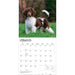 Poodles 2027 Square Wall Calendar