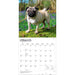Pugs 2027 Square Wall Calendar