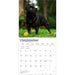 Pugs 2027 Square Wall Calendar