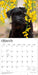 Miniature Schnauzers 2027 Square Wall Calendar
