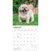 Shih Tzu 2027 Square Wall Calendar