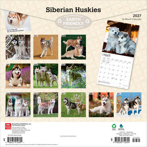 Siberian Huskies 2027 Square Wall Calendar