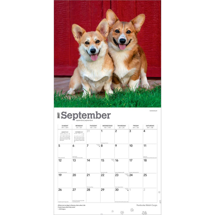 Pembroke Welsh Corgis 2027 Square Wall Calendar